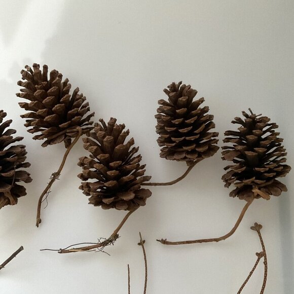 DIY PINE CONES AND CURLY TWIGS 15 COUNT - Picture 3 of 8